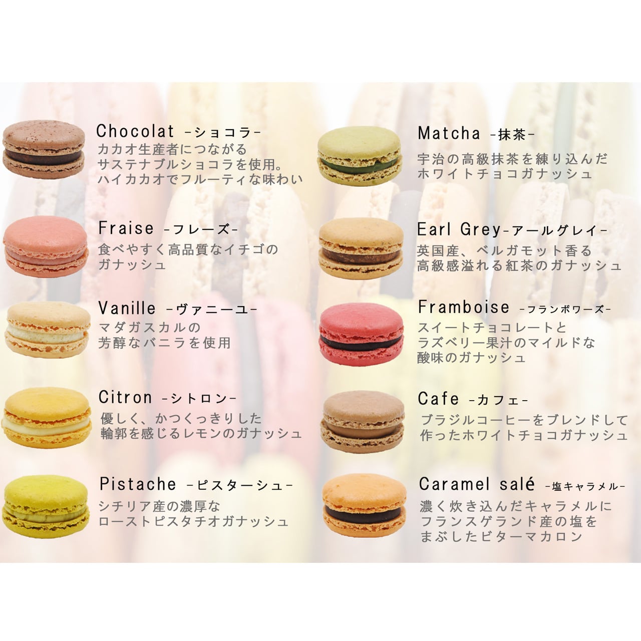 マカロン 10個入り×2箱セット | アイスケーキや焼き菓子のお取り寄せ