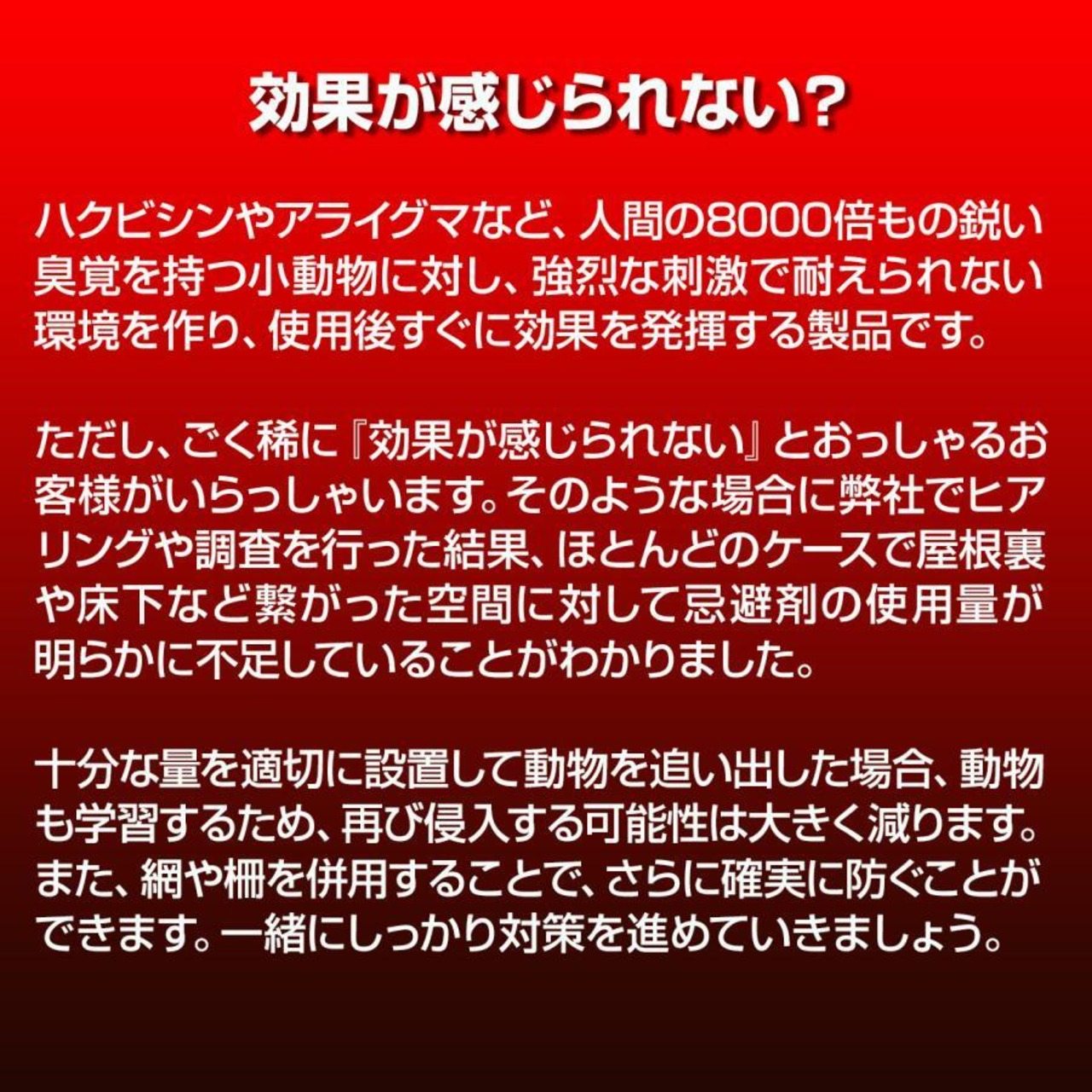 クマ激臭大パニック! １０個入(忌避剤顆粒付) 出会ってからの熊撃退スプレー 鈴では遅い！熊対策 熊よけ 忌避剤 効果は1年！熊撃退忌避剤