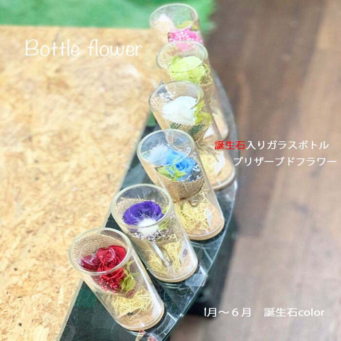 花屋 心一つ out ❁ミニスワッグ 標本フレーム&ミニハーバリュウムset❁