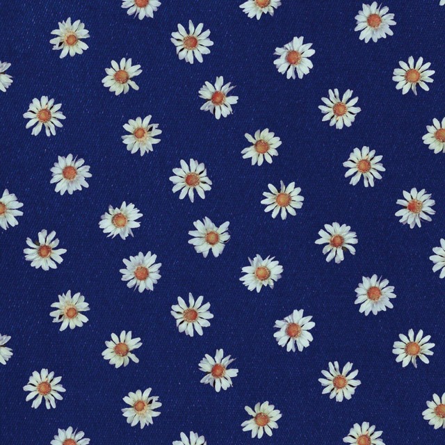 【予約商品 / 09.09 Release】きのこ帝国 / ロンググッドバイ（Ltd Cobalt Blue w Japanese Obi）