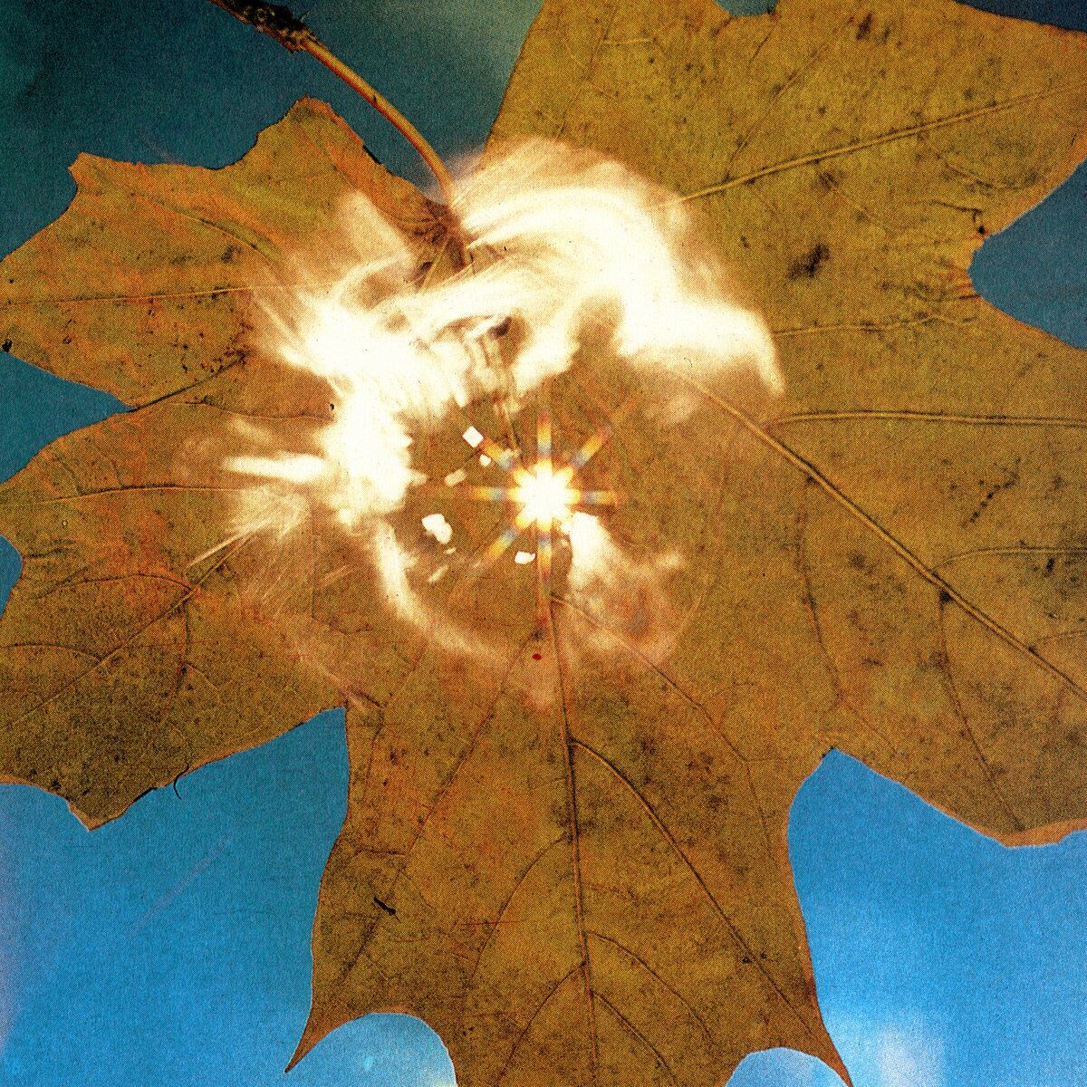 【CD】SOYUZ - FORCE OF THE WIND(MR.BONGO)