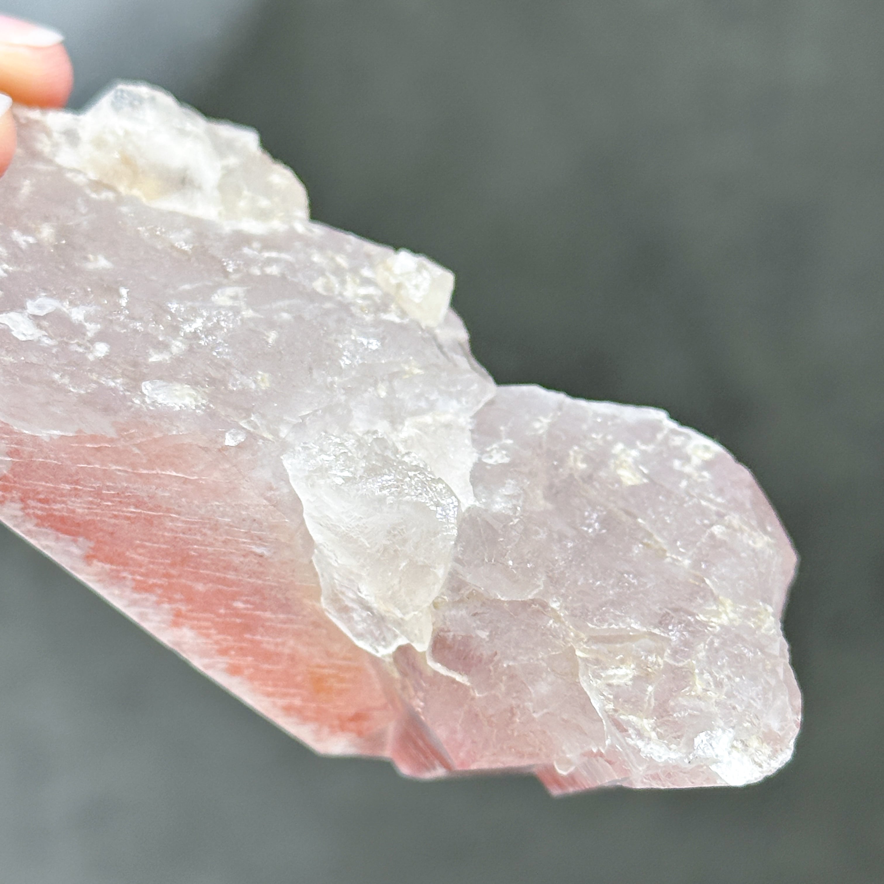 ディアマンティーナ産ピンクレムリアン クラスター 32◇ Pink Lemurian