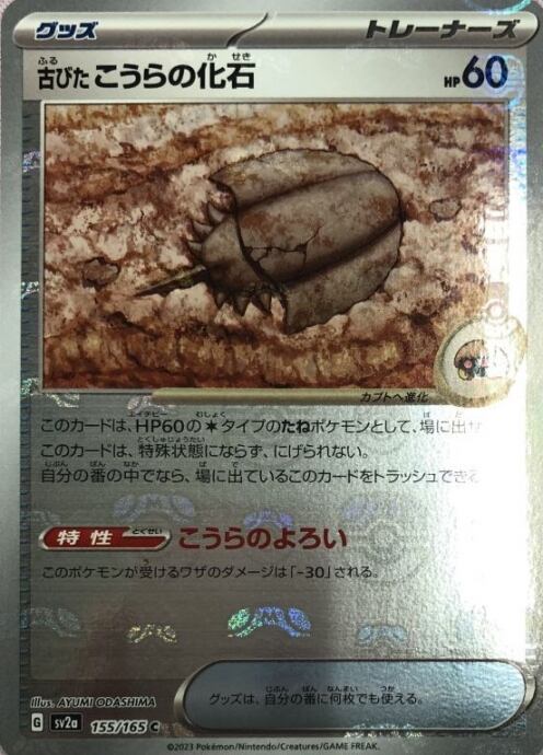 【美品】古びたこうらの化石(マスターボールC)