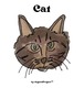 Cat(キャット)