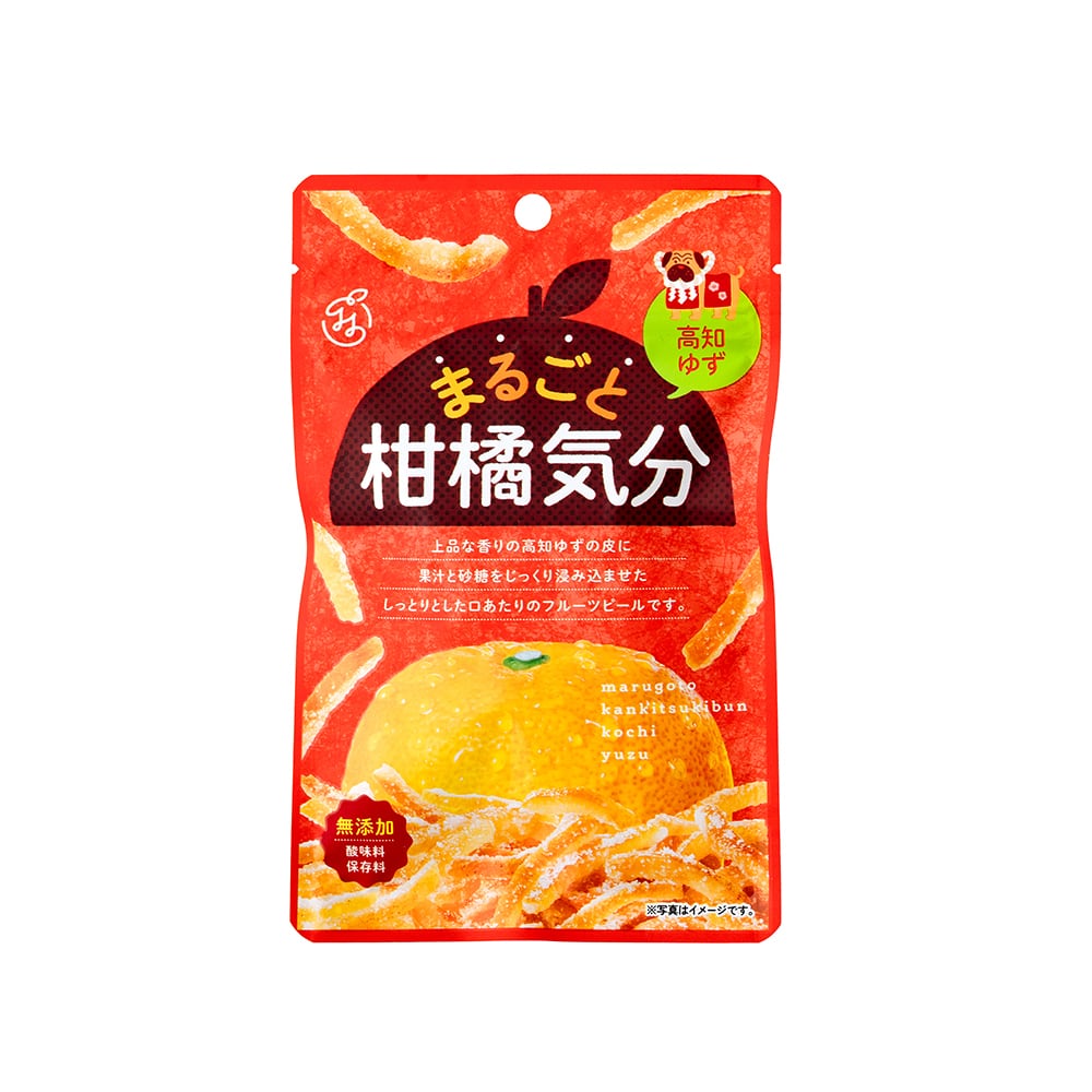 柑様 リクエスト 2点 まとめ商品 まるごと柑橘気分 高知ゆず | 日本果汁