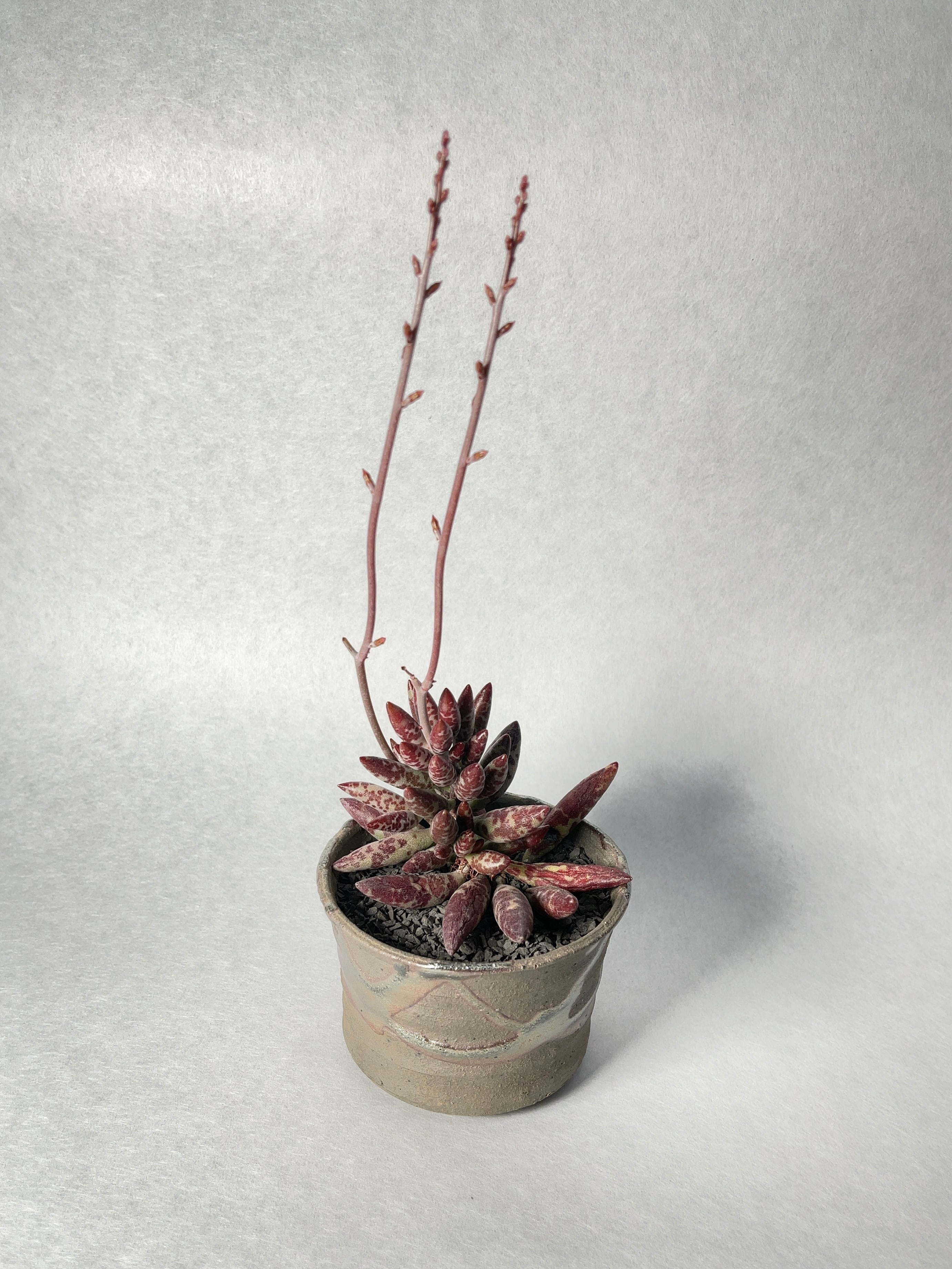 fc6da1fea1c80a63a23ddd5acc2348