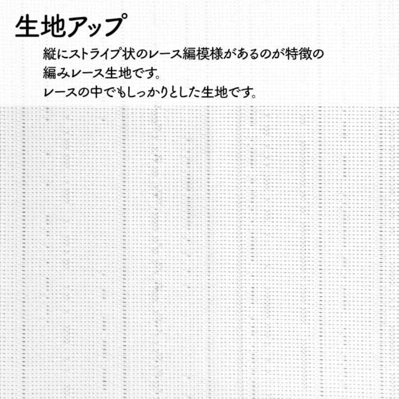【受注生産】のれん 流氷とオジロワシ 85×150cm 48368