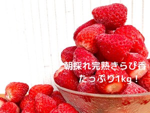【送料込】冷凍　きらぴ香１ｋｇ☆静岡限定品種