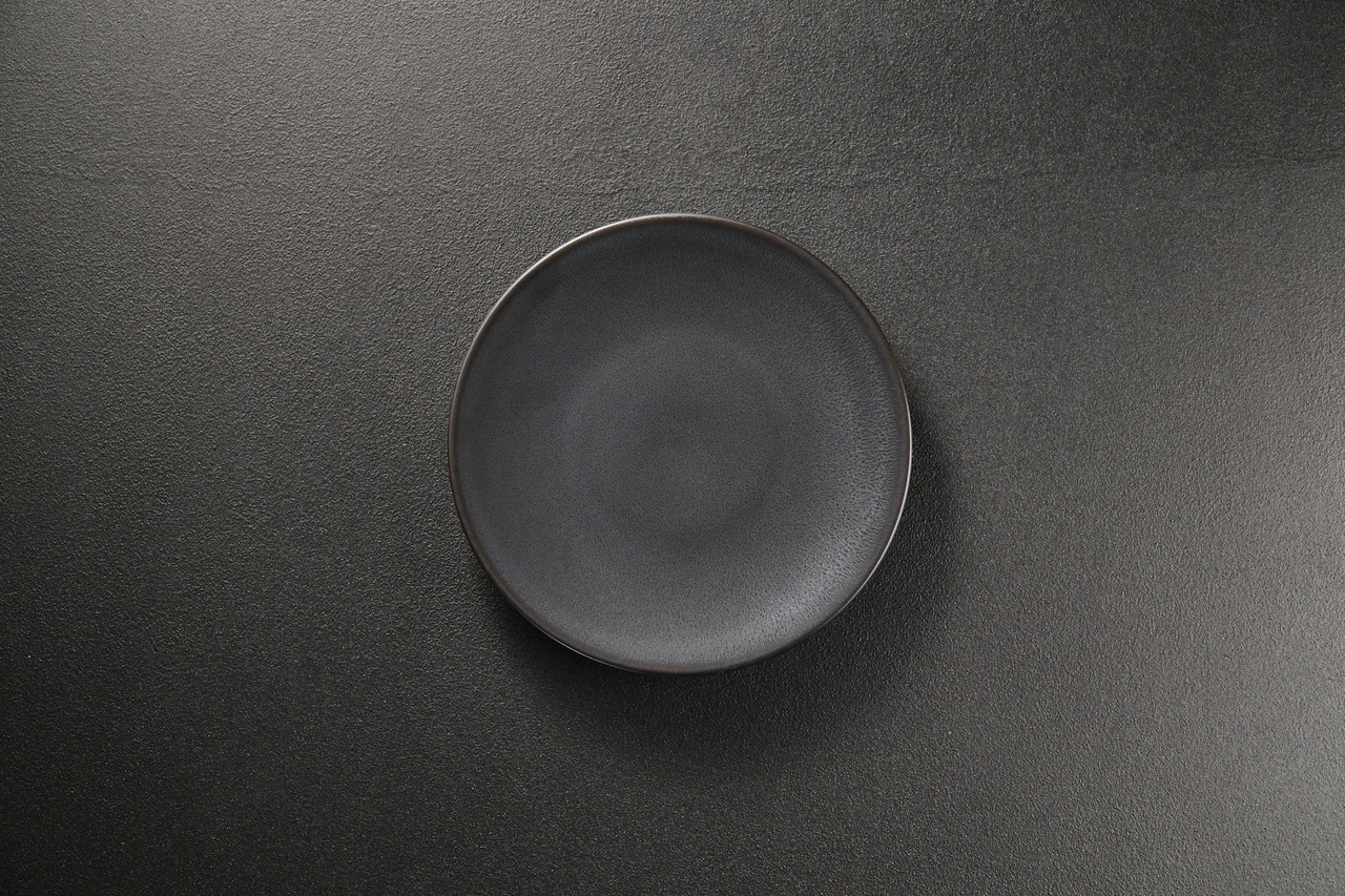 MORIYAMA グラファイトブラック フラットプレート φ24.0cm