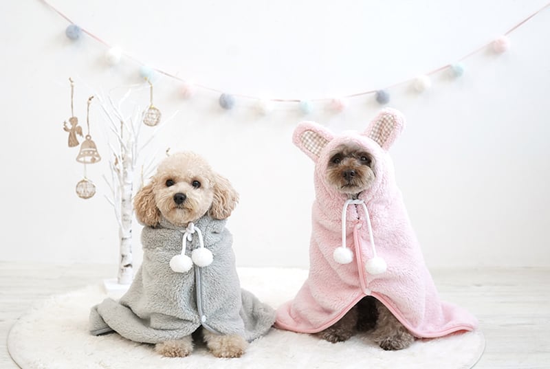 犬服・アクセサリー mocomoco mocomoco manteau 2color / 犬 服 秋冬 新作 暖かい お出かけ マント