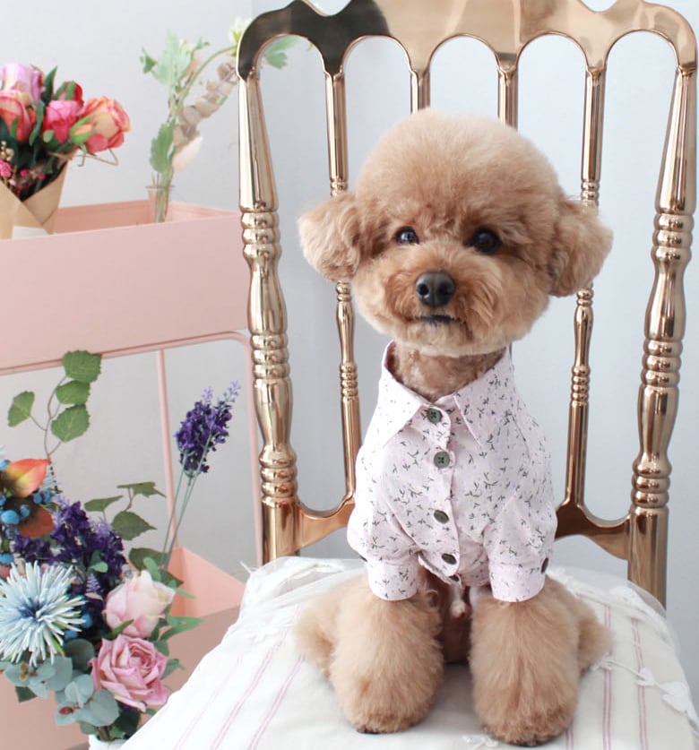 flowerシャツ S ~ 2XL 3color  /  犬服 新作 春夏 ドッグウェア ペット洋服 犬 服 お揃い 可愛い お出かけ top73