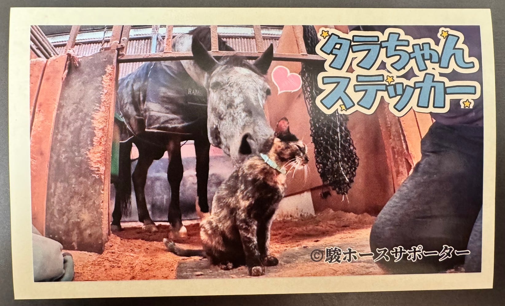 定期便】タラちゃん1ヶ月定期サポート | 駿ホースサポーター