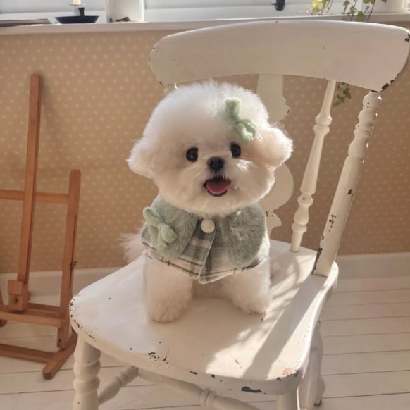 S.M/即納【Hi Yeboo】Luna Fur Cape (Pistachio)