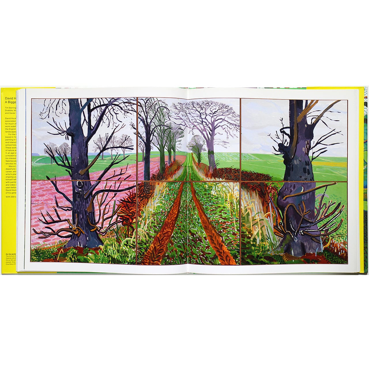 David Hockney: A Bigger Picture デイヴィッド・ホックニー：ザ