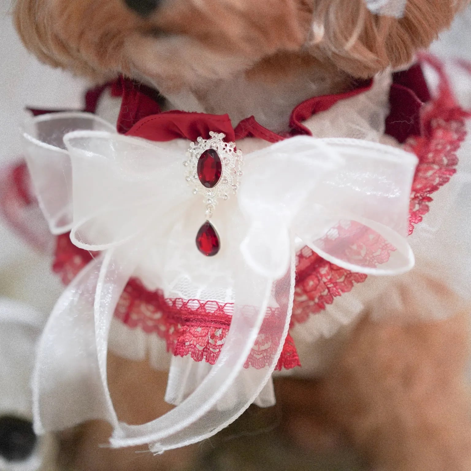 Haunted Castle – Bloody Web Pet Cape〈XS,Sサイズ〉