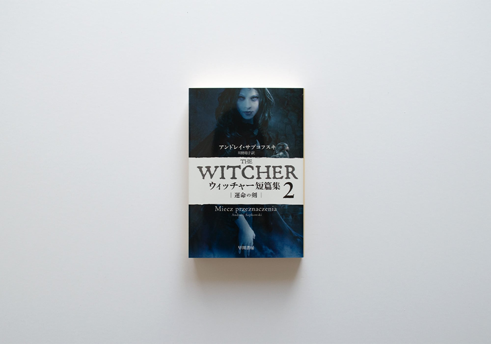 ウィッチャー短篇集2 運命の剣