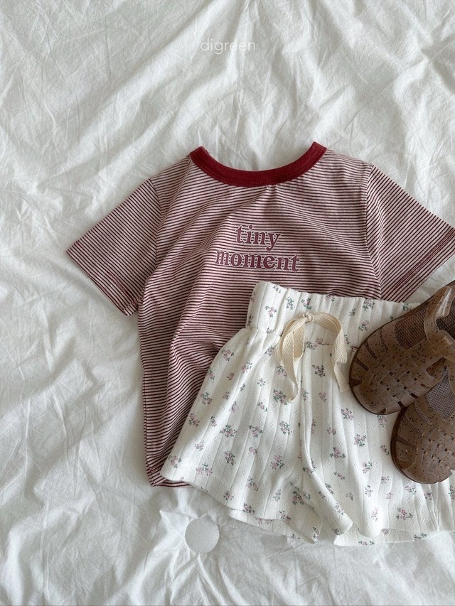 〘予約〙digreen / brandy shorts pants