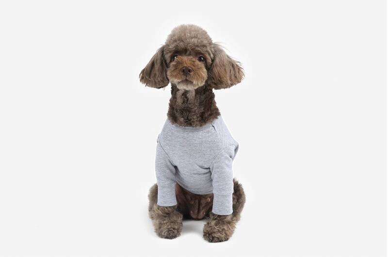 basic t-shirt S ~ 3XL 4color  /  犬服 シンプル 無印 Tシャツ 小型犬 中型犬 大型犬 ペット ドッグウェア 部屋着 長袖 トップス cotton