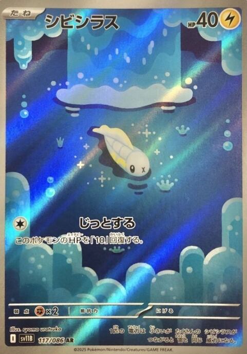 【Bランク】シビシラス(AR)