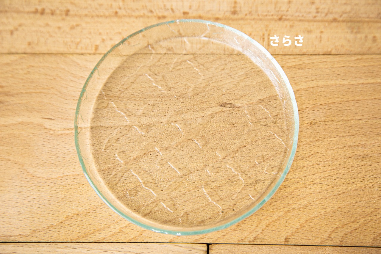 池谷三奈美 | シャーレ