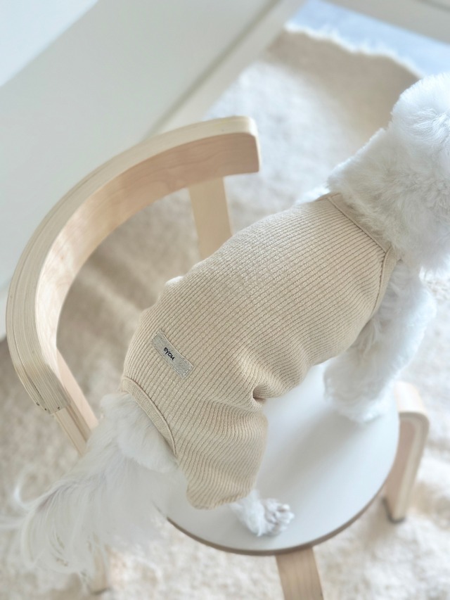 〈即納/在庫限り〉 EYOU /メロウパステル Tシャツ（グレー）