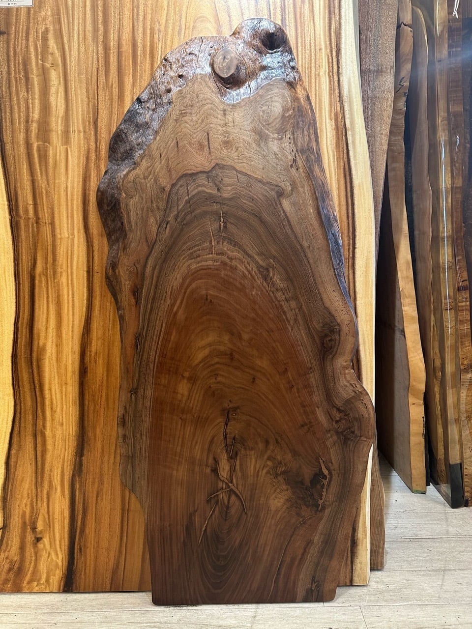 OUTLET】【輪切り】クラロウォールナット_1400×320-620×40_横浜元町店_