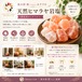 【風水師 絢おすすめ】天然ヒマラヤ岩塩（浄化用ロックソルト）Mサイズ