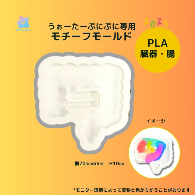 3Dモールド　腸　大腸　小腸　臓器型　モールド　PLAモールド