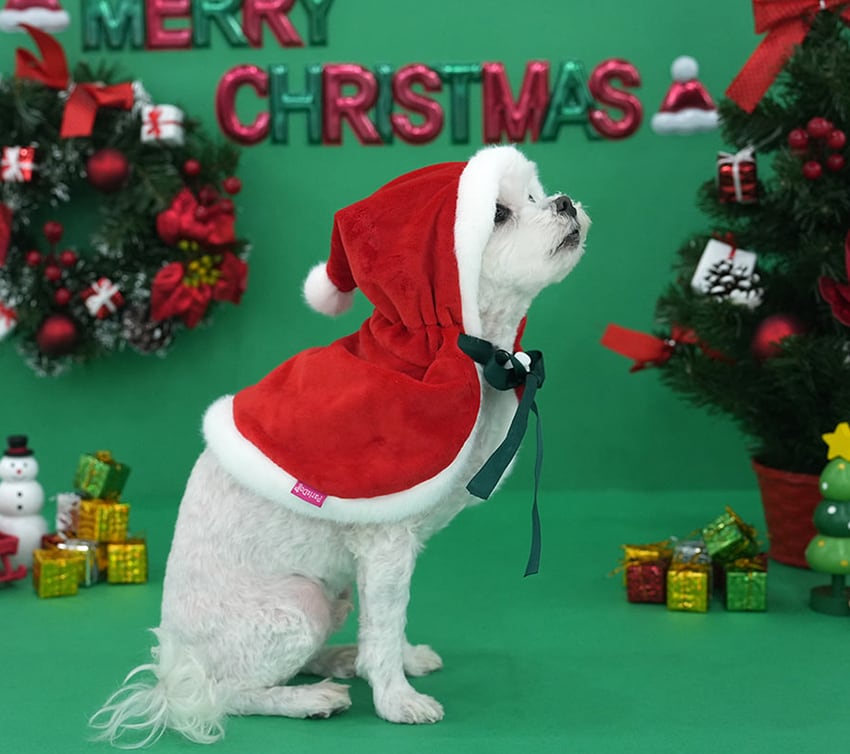 christmas manto / クリスマス マント ドッグウェア 犬の服 帽子 ケープ 冬 サンタ アウター 犬 コスプレ サンタクロース hu7