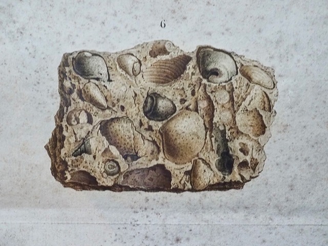 Description de l’Egypte エジプト誌　博物篇 鉱物 Ⅱ