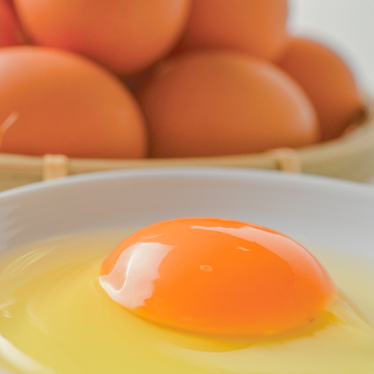 ■お歳暮・熨斗付き■＜風呂敷包み＞口福極プリン６個入り（抹茶・ほうじ茶各3個）のセット・贈呈用紙袋付き※送料別