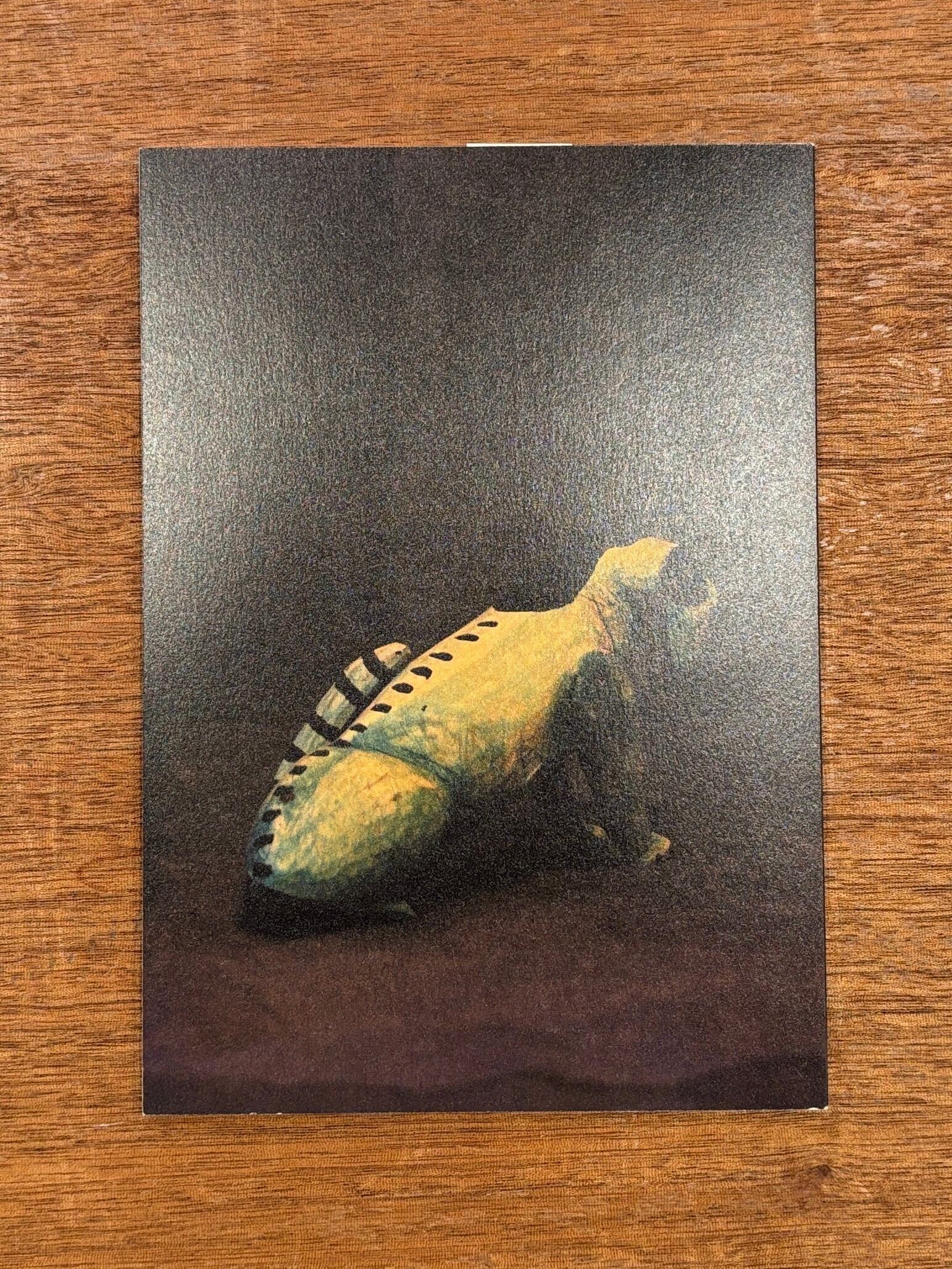 岩本慎史『ANIMALS FROM OAXACA : Vintage Oaxacan Wood Carvings