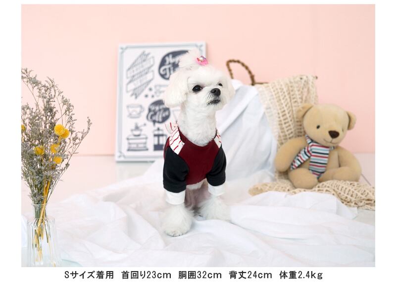 【SALE】ピクニックTシャツ S ~ XL 2color  /  犬服 ドッグウェア 綿100％ 犬の服 小型犬 中型犬 ペット用品 top30