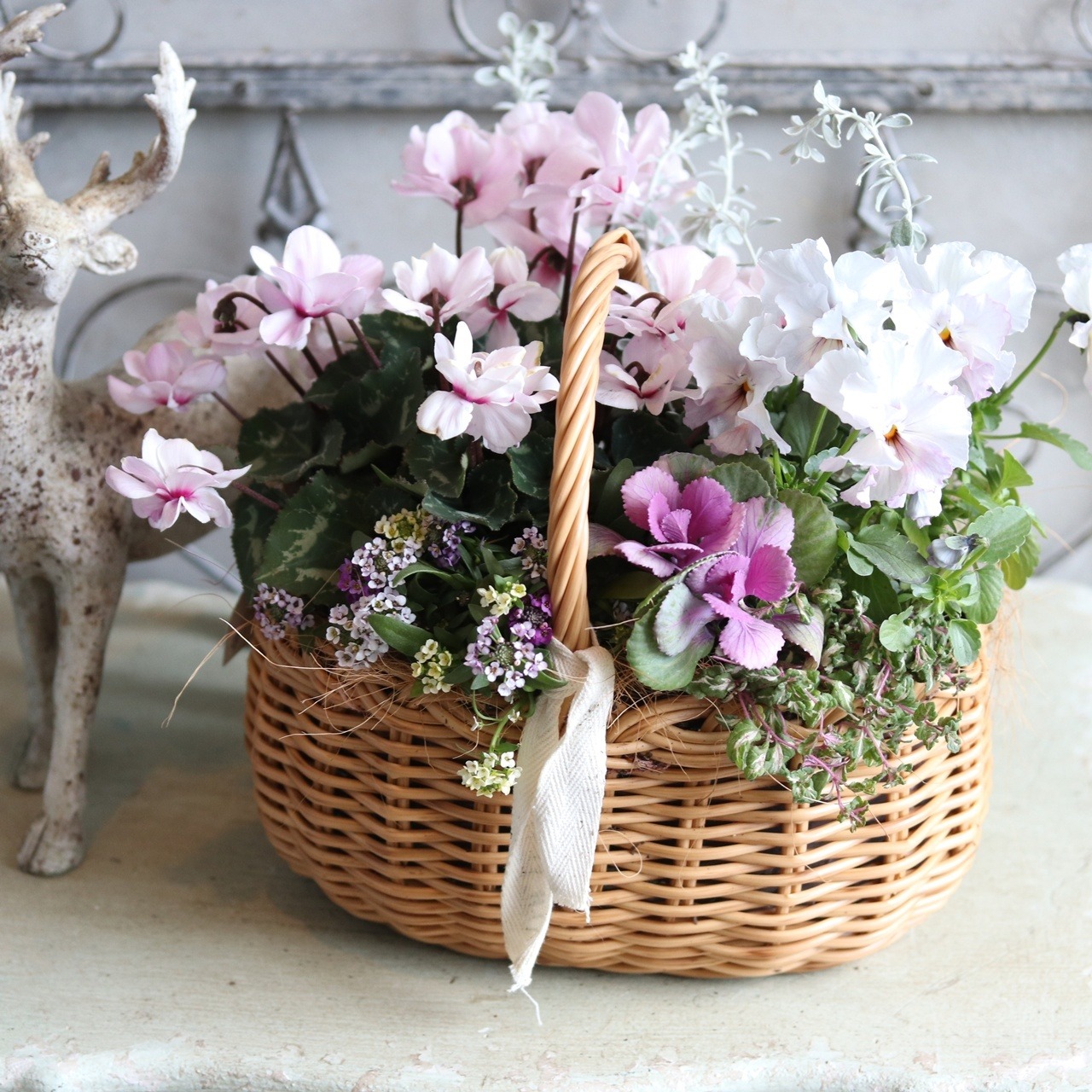 冬から春に楽しむ寄せ植え　ピンクの八重咲きシクラメンとパンジーぺルクレアのやさしい春色のバスケットの寄せ植え　お正月にオススメ　届いてすぐ玄関に飾れる 　プレゼントにもオススメ　