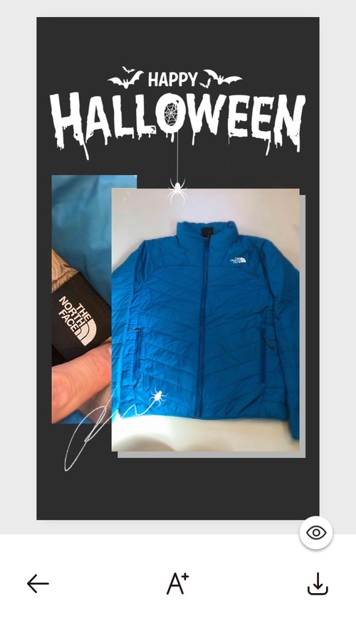 THE NORTH FACE Down jacket 