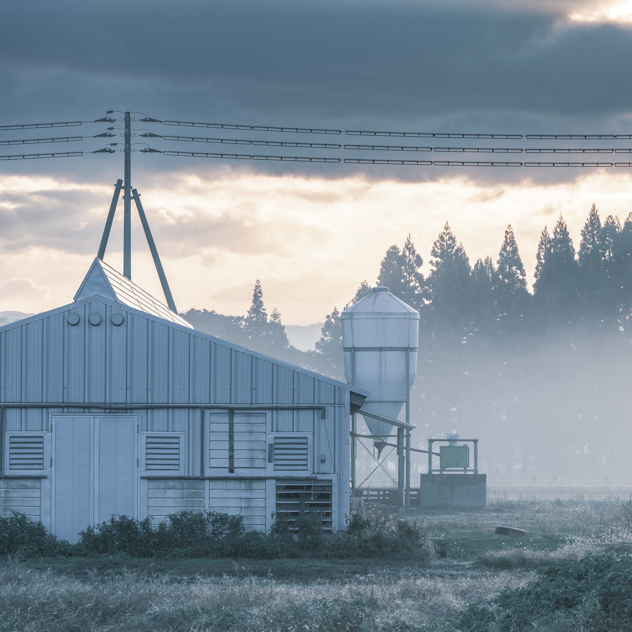 最高級 山形県大蔵村産】鴨の一羽セット | 農家直売 鴨のお肉屋さん