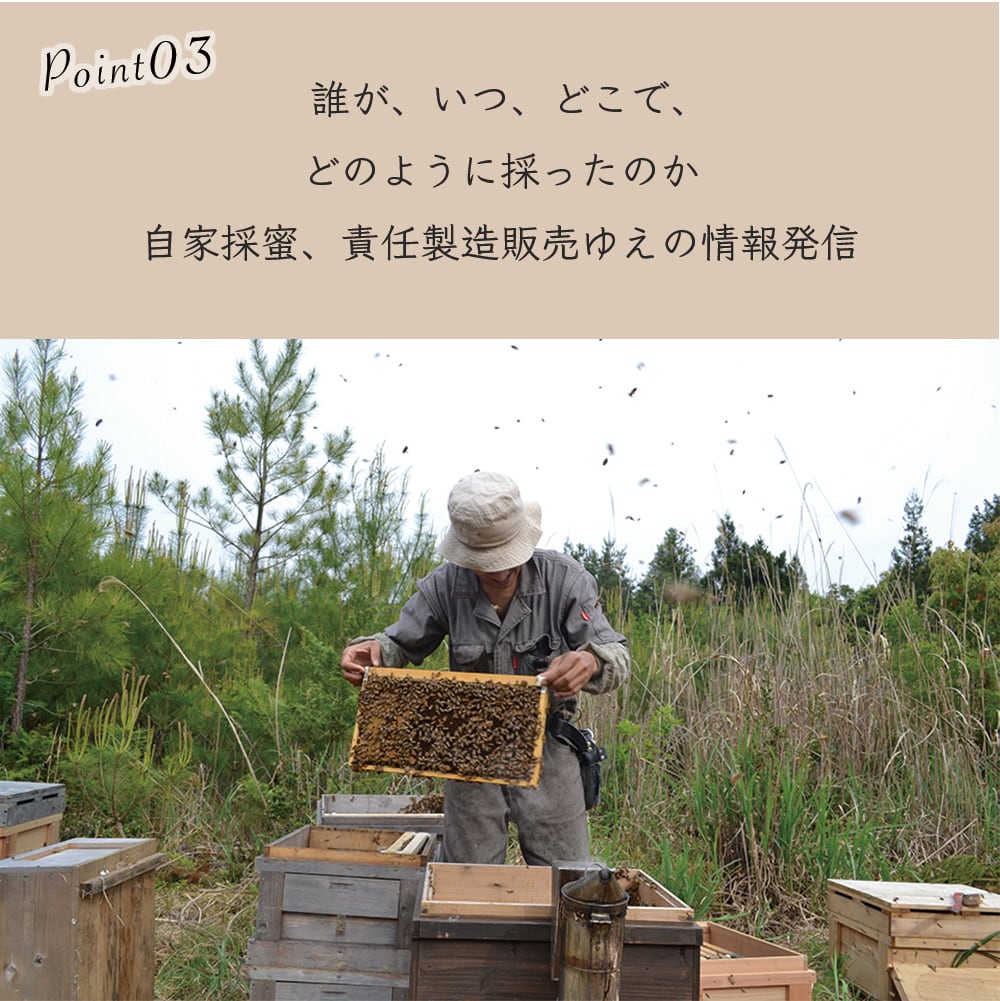 2025年 新蜜】国産みかん蜂蜜 ［ボトル］ 500g | 非加熱 | 抗生物質不