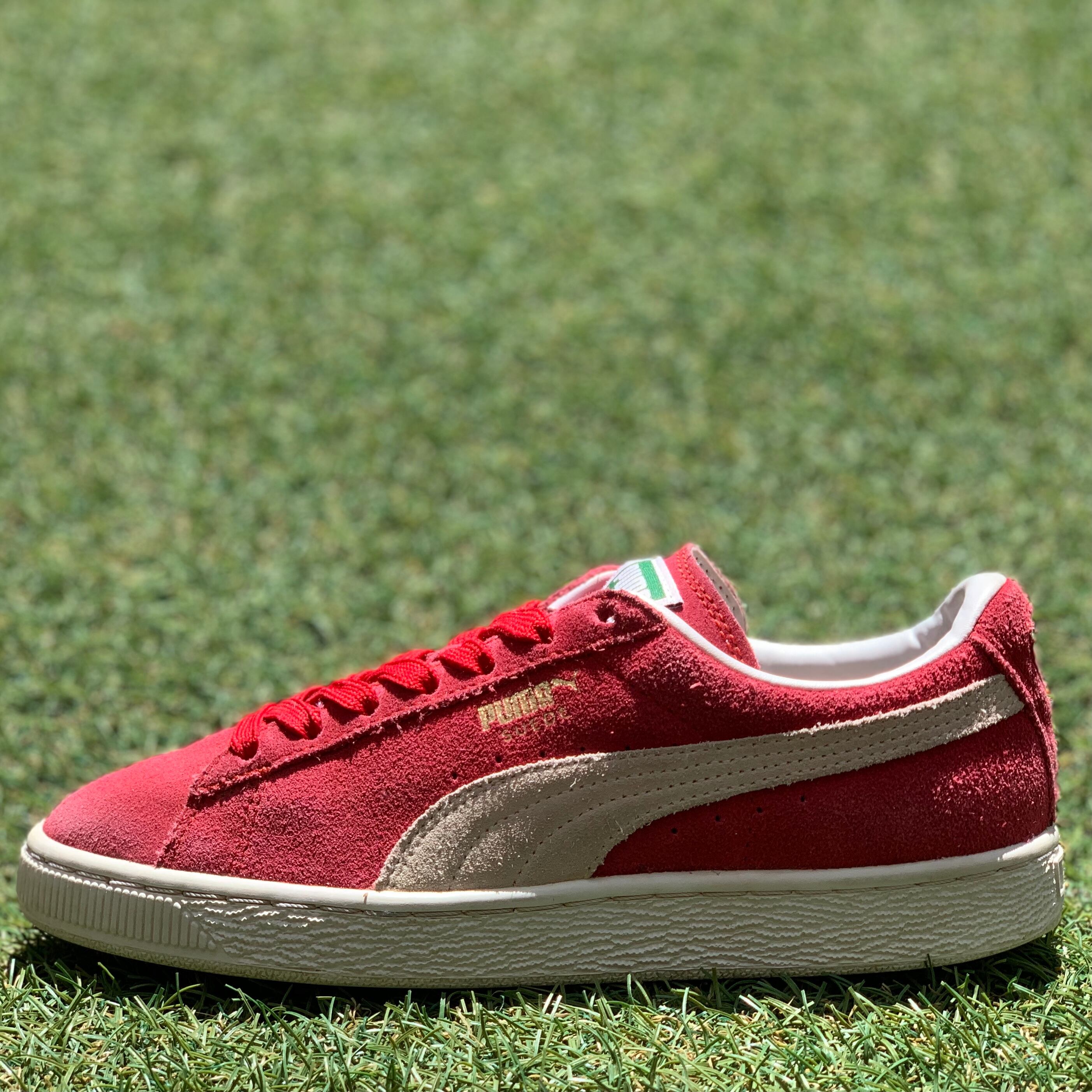 PUMA SUEDE CLASSIC + プーマ スエード クラシック プラス F314
