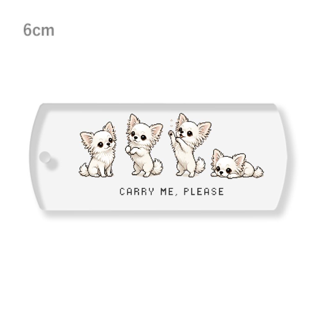 CARRY ME,PLEASE アクリルキーホルダー P0177