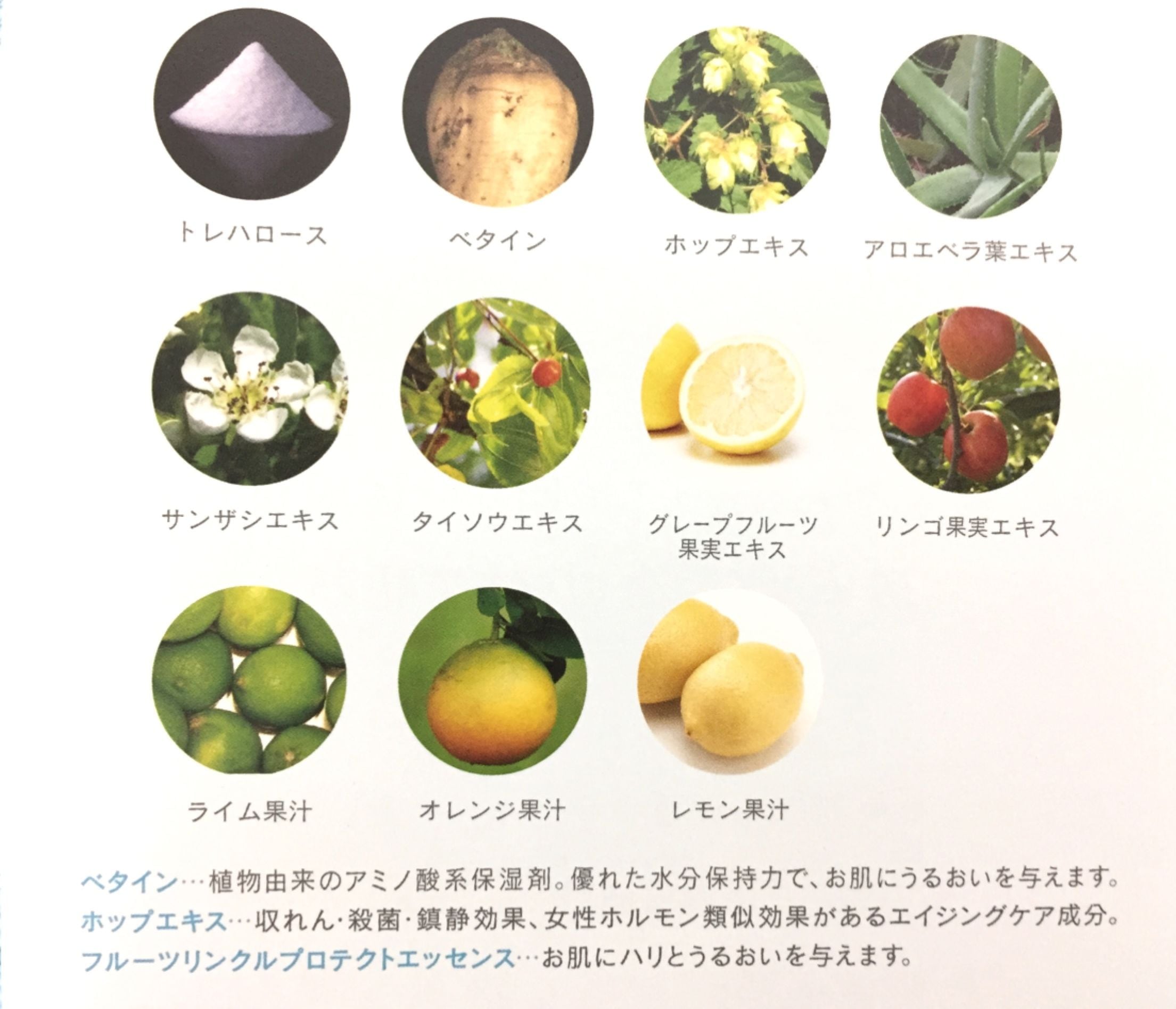 フロムCO2プレミアマスク（シート状パック） | 朝型美人