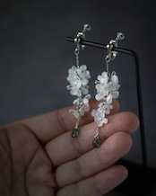 銀桂花の雫