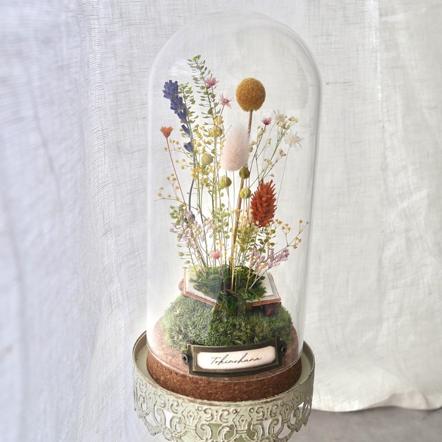 トキノハナ/時の花　