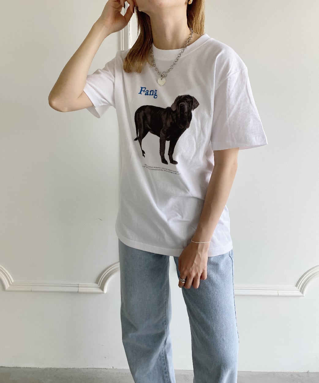 ハリー・ポッター/ファング/Tシャツ/CHHP22ST03 | charachoi