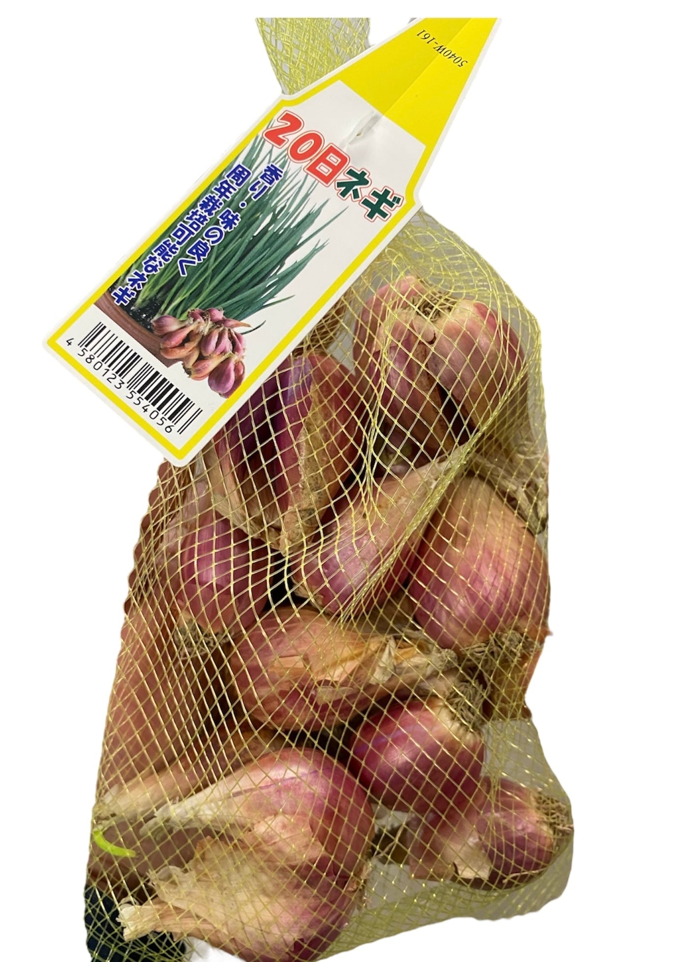 沖縄島野菜約200g「二十日ネギ」 | wakabaseed