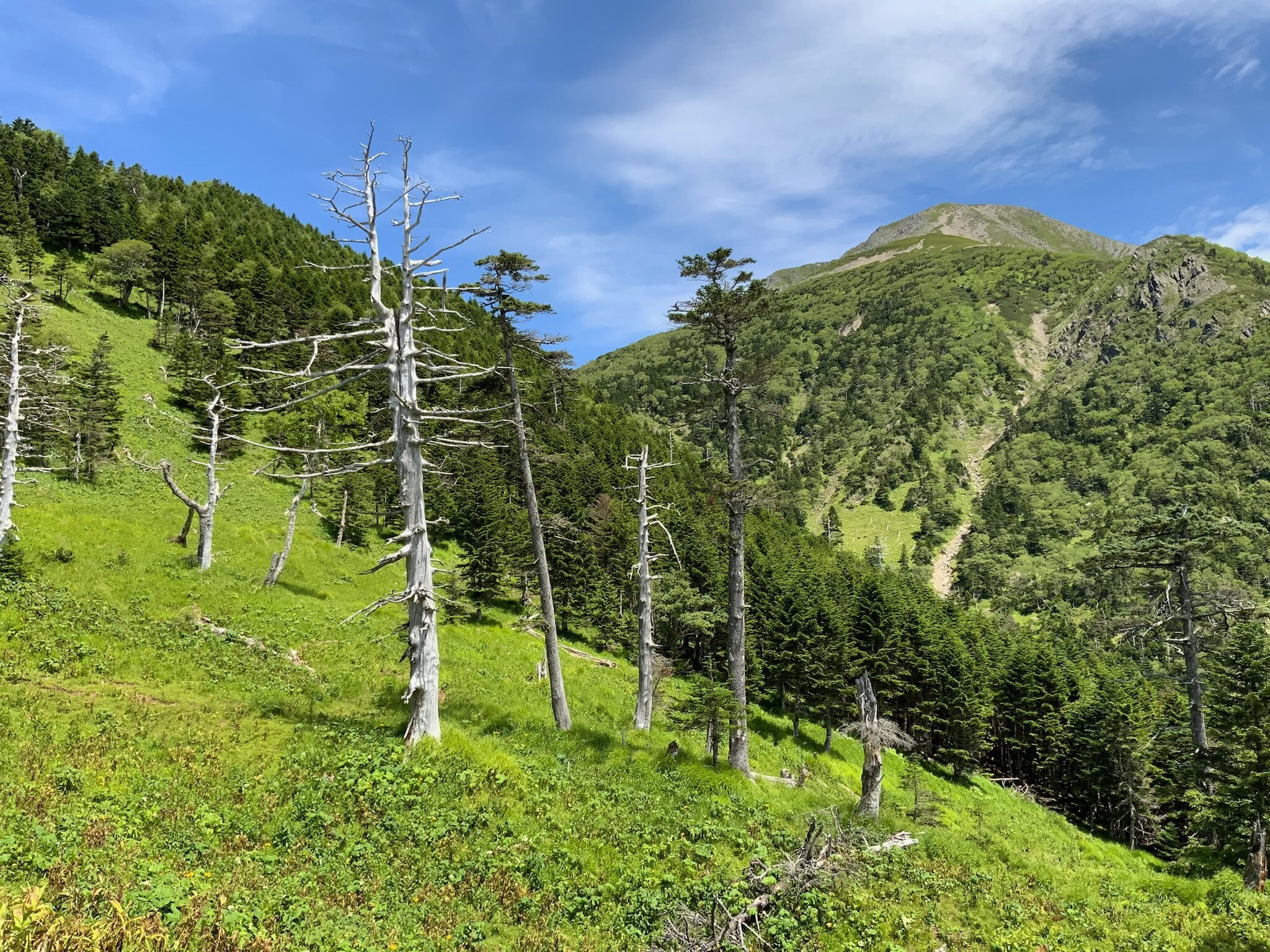 井川蒸溜所 Dessin Series デッサンシリーズ 