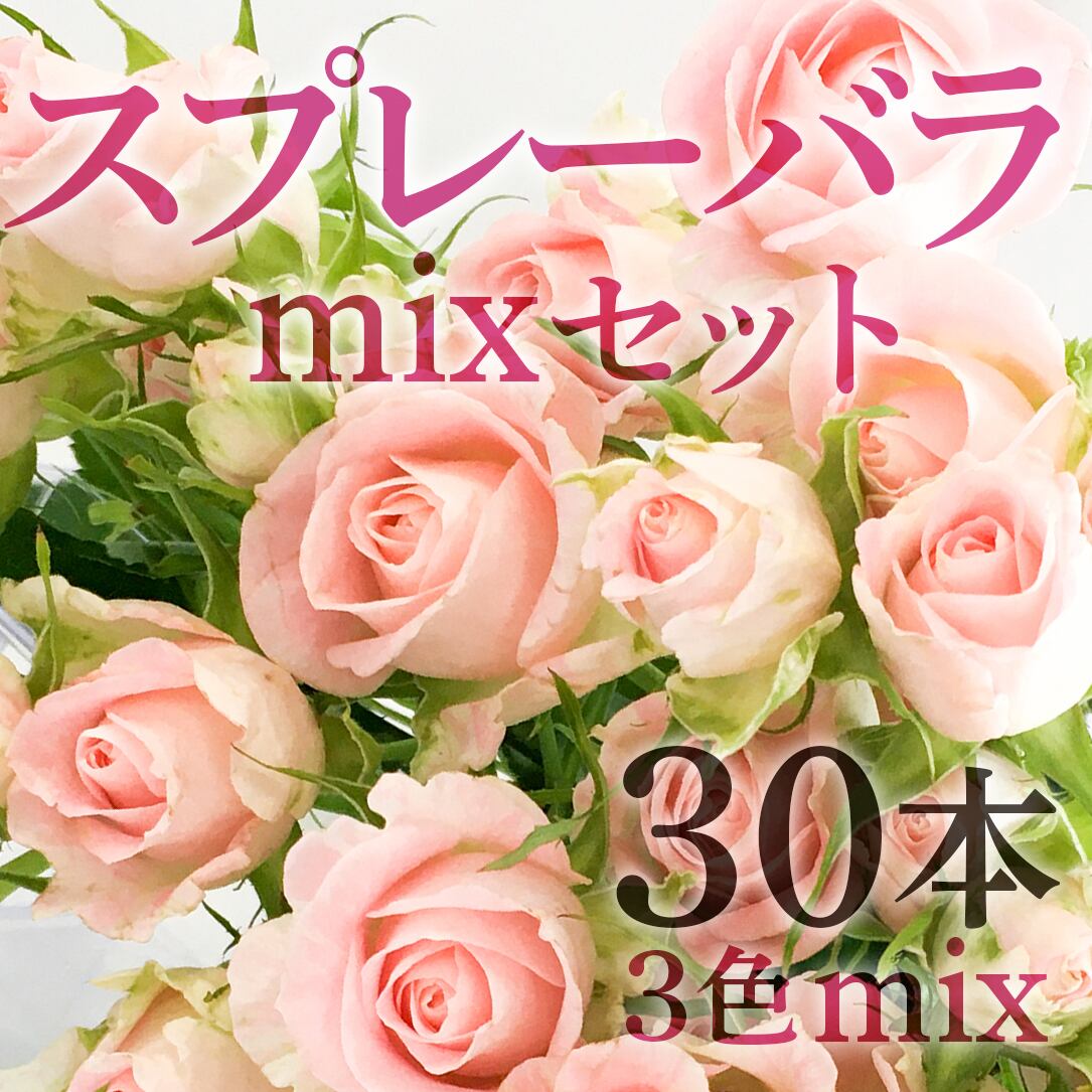 スプレーバラ 30本 3色mixセット 可憐なスプレー咲き ローズ フラワーロス支援 スマイルフラワープロジェクト
