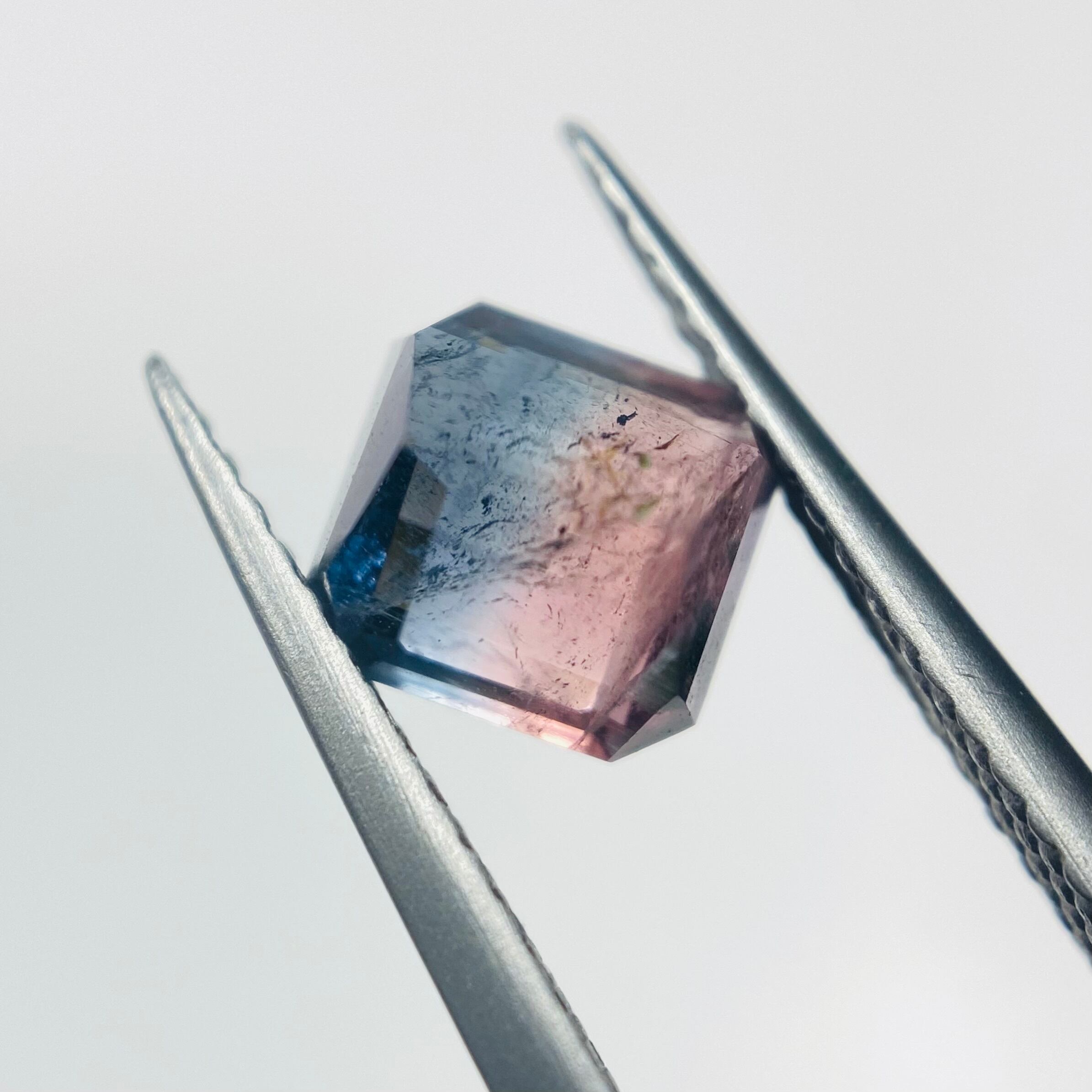 2色の紫陽花　バイカラートルマリン2