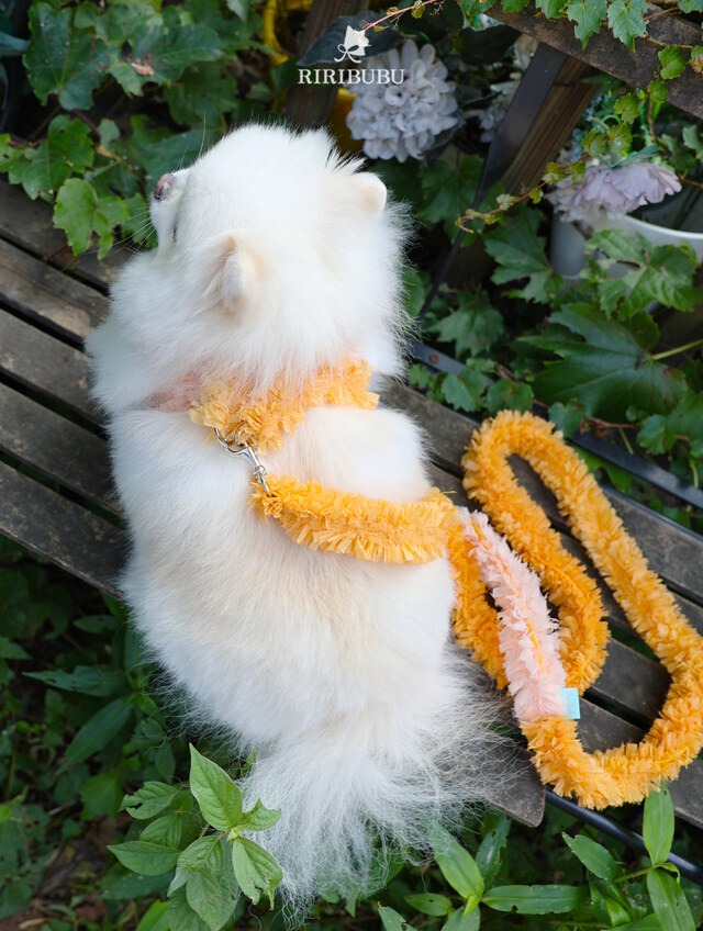 お散歩HARNESSハーネス ‐ (YELLOW)