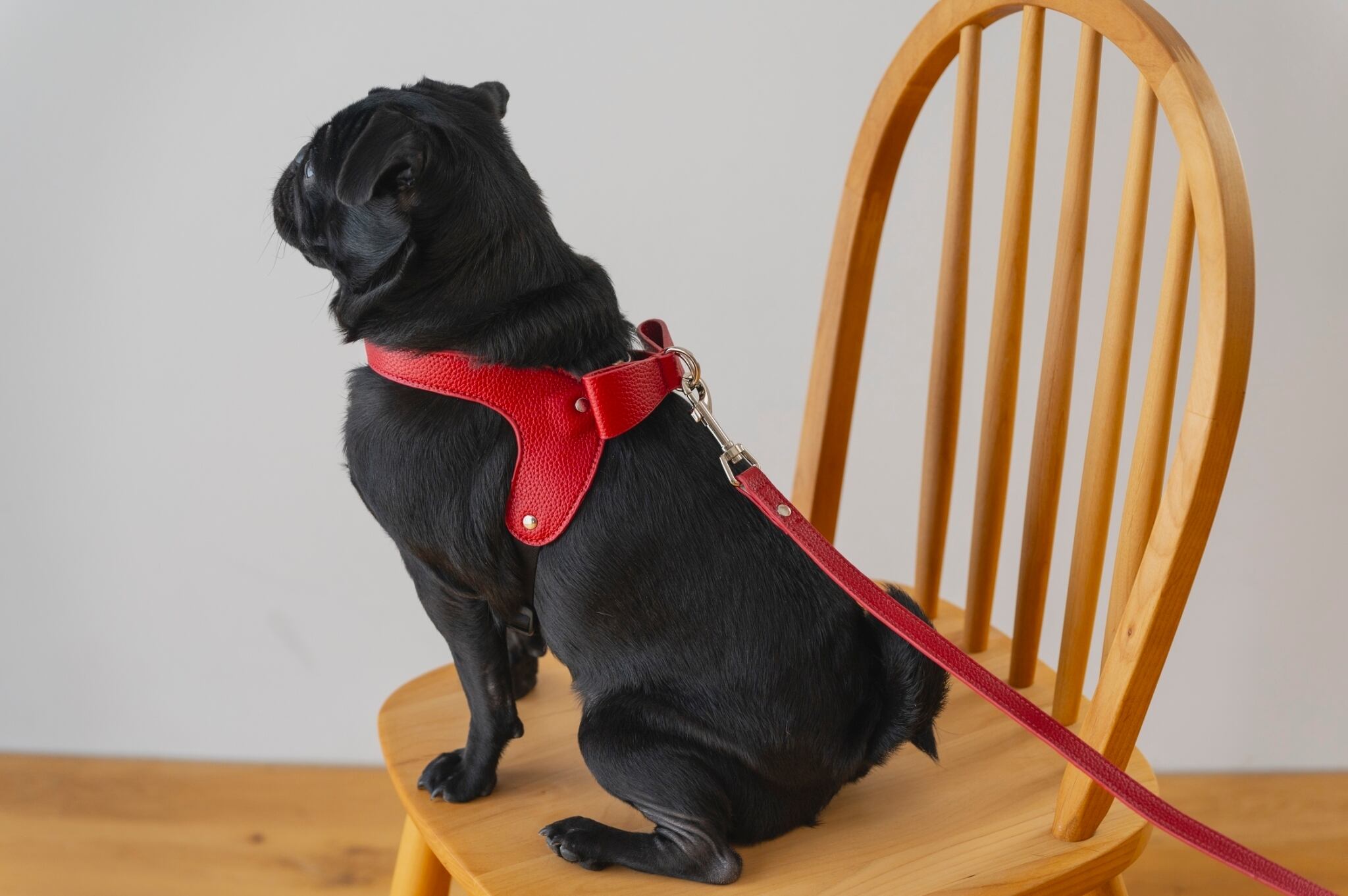 名前刻印サービス＞バックリボンハーネス レッド | Milla Noue ミラヌー