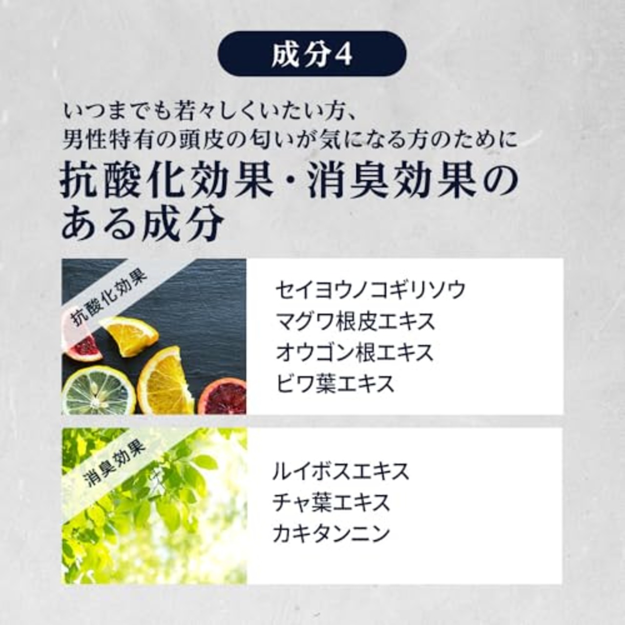 REDEN HYBRID SHAMPOO R2(リデン ハイブリッドシャンプー R2) 詰め替え 400ml マリンムスクの香り